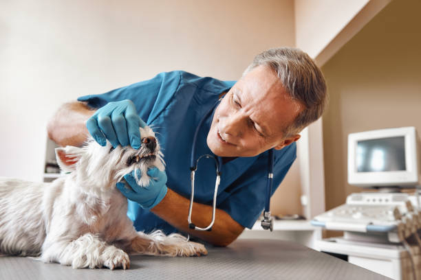 Best Weekend Emergency Dentist in Homewood, AL